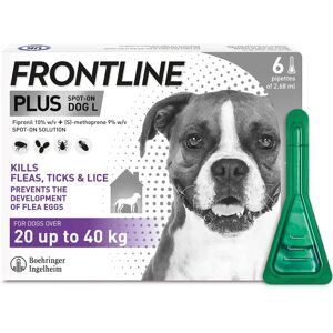 Frontline Plus Large Dog Flea Tick Treatment - 6 Pipettes Frontline Plus Large Dog Flea Tick Treatment - 6 Pipettes
