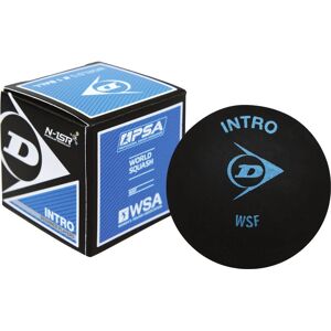 Dunlop Blue Dot Squash Ball - Beginner Level Dunlop Blue Dot Squash Ball - Beginner Level