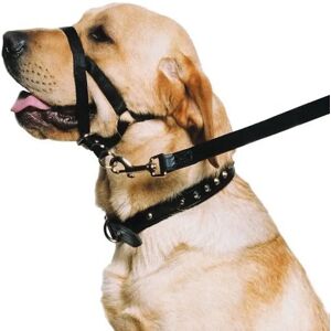 Ancol Small Nylon Training Halter - Training Halter Ancol Small Nylon Training Halter - Training Halter