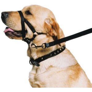 Ancol Large Nylon Dog Halter - Dog Halter Ancol Large Nylon Dog Halter - Dog Halter