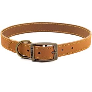 Timberwolf Läderhalsband Mustard 45-54cm - Halsband Timberwolf Läderhalsband Mustard 45-54cm - Halsband