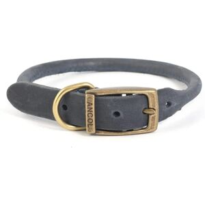 Ancol Timberwolf Leather Dog Collar - Blue 55cm - Dog Collar Ancol Timberwolf Leather Dog Collar - Blue 55cm - Dog Collar