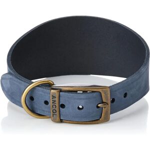 Ancol Timberwolf Blue Leather Dog Collar - Dog Collar Ancol Timberwolf Blue Leather Dog Collar - Dog Collar