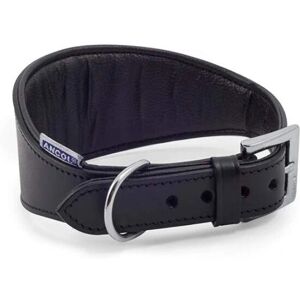Ancol Heritage Padded Leather Whippet Collar - 26cm-31cm Ancol Heritage Padded Leather Whippet Collar - 26cm-31cm