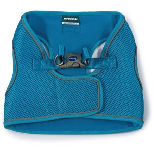 Ancol Viva Step-in Blue Harness - Dog Product Ancol Viva Step-in Blue Harness - Dog Product
