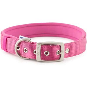 Ancol Heritage Nylon Padded Dog Collar - Medium - Raspberry Ancol Heritage Nylon Padded Dog Collar - Medium - Raspberry