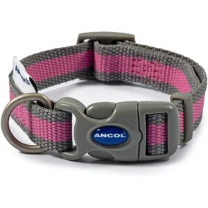 Ancol Roze en Grijze Hondenhalsband - Gerecyclede Flessen Klein 20-30cm Ancol Roze en Grijze Hondenhalsband - Gerecyclede Flessen Klein 20-30cm