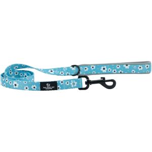 Ancol Daisy Patterned Dog Lead - Recycled Materials, Comfortable Handle, All Weather Ancol Daisy Patterned Dog Lead - Recycled Materials, Comfortable Handle, All Weather