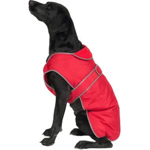 Ancol Stormguard Dog Coat - Red Poppy - Small/Medium Ancol Stormguard Dog Coat - Red Poppy - Small/Medium
