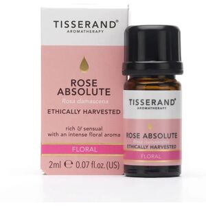Tisserand Aromatherapy Rose Absolute Ethically Harvested Essential Oil - Essential Oil Tisserand Aromatherapy Rose Absolute Ethically Harvested Essential Oil - Essential Oil