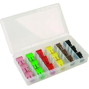 Connect Assorted Female Pal Fuses - 18 Pieces - Fuses for Automotive Use Connect Assorted Female Pal Fuses - 18 Pieces - Fuses for Automotive Use