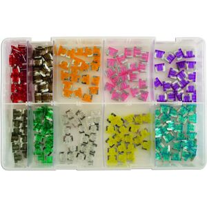 Caja de Fusibles Mini de Perfil Bajo Variados - 100 piezas Caja de Fusibles Mini de Perfil Bajo Variados - 100 piezas