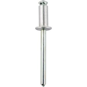 Connect Rivet Peel Type 4.8mm 19.0mm 500pc - Rivet Connect Rivet Peel Type 4.8mm 19.0mm 500pc - Rivet