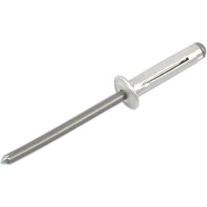 Mazda Mercedes Nissan Metal Rivet - 50pc Connect - Rivet Mazda Mercedes Nissan Metal Rivet - 50pc Connect - Rivet