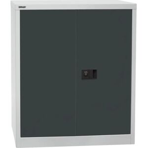 Dulap de Depozitare BISLEY - Reglabil, Încuietor, 2 Rânduri de Arhive Dulap de Depozitare BISLEY - Reglabil, Încuietor, 2 Rânduri de Arhive