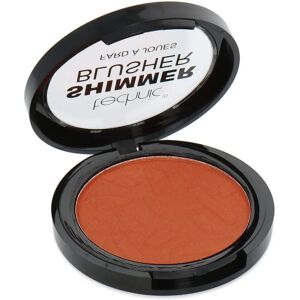 Technic Moroccan Sunset Shimmer Blusher - Blusher Technic Moroccan Sunset Shimmer Blusher - Blusher