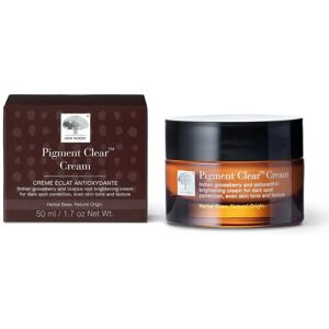 New Nordic Pigment Clear Brightening Cream - Brightening & Pigment Correction New Nordic Pigment Clear Brightening Cream - Brightening & Pigment Correction