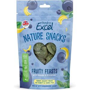 Burgess Excel Fruity Feasts Banana Blueberry Small Animal Treats Burgess Excel Fruity Feasts Banana Blueberry Small Animal Treats