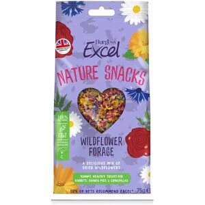 Burgess Excel Wildflower Forage - Snacks Burgess Excel Wildflower Forage - Snacks