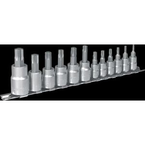 Sealey AK6213 TRX-Star Socket Bit Set 12pc - Professional Quality Sealey AK6213 TRX-Star Socket Bit Set 12pc - Professional Quality
