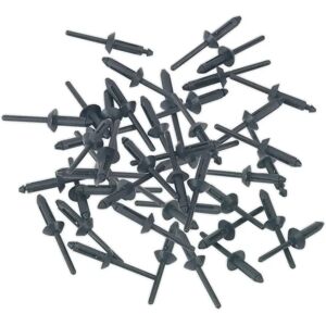 Sealey PR003 Plastic Rivets - Ø5 x 15.8mm Pack of 50 Sealey PR003 Plastic Rivets - Ø5 x 15.8mm Pack of 50