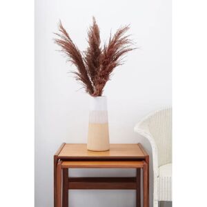 Joy Model Pampas Grass - 3 Stems Khaki, Wine, Chocolate - Floral Decor Joy Model Pampas Grass - 3 Stems Khaki, Wine, Chocolate - Floral Decor