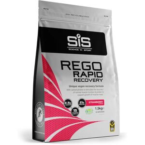 Sis Rego Rapid Recovery - Complete Exercise Support Sis Rego Rapid Recovery - Complete Exercise Support
