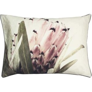 Linen House Alice Grandiflora Pillowcase Set - Unisex Linen House Alice Grandiflora Pillowcase Set - Unisex