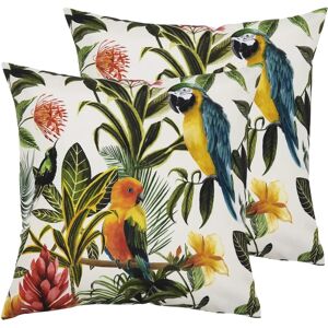 Evans Lichfield - Parrots - Multicolour - 43 × 43 cm - Twin Pack - Cushion Evans Lichfield - Parrots - Multicolour - 43 × 43 cm - Twin Pack - Cushion
