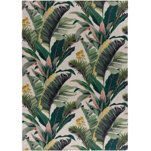 Wylder Tropics Hawaii Printed Outdoor Rug - Outdoor Rug Wylder Tropics Hawaii Printed Outdoor Rug - Outdoor Rug