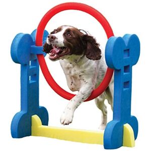 Rosewood Small Dog Agility Hoop - Dog Agility Toy Rosewood Small Dog Agility Hoop - Dog Agility Toy