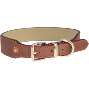Rosewood Luxury Leather Dog Collar - Size 18-22 inches - Dog Collar Rosewood Luxury Leather Dog Collar - Size 18-22 inches - Dog Collar