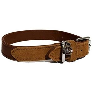 Collier en cuir de luxe Rosewood pour chien - Rouge - 8-12 x 0.75 pouces Collier en cuir de luxe Rosewood pour chien - Rouge - 8-12 x 0.75 pouces