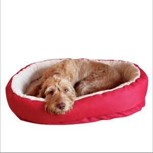 Rosewood 40 Winks Orthopedic Bed Red 86cm - Orthopedic Bed Rosewood 40 Winks Orthopedic Bed Red 86cm - Orthopedic Bed