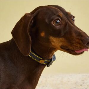 Joules Navy Leather Dog Collar - Dog Collar Joules Navy Leather Dog Collar - Dog Collar