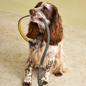 Joules Leather Dog Lead Navy Padded Handle - Dog Lead Joules Leather Dog Lead Navy Padded Handle - Dog Lead