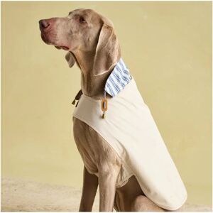 Imperméable Joules Sandshell pour chiens - Grand - Publicité Imperméable Joules Sandshell pour chiens - Grand - Publicité