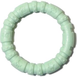 Rosewood Small Mint Nylon Dog Chew Toy - Dog Chew Toy Rosewood Small Mint Nylon Dog Chew Toy - Dog Chew Toy
