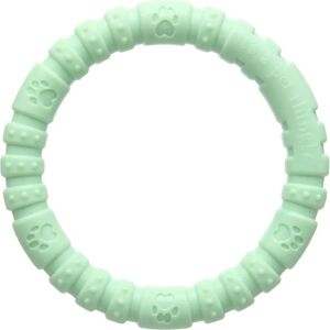 Rosewood Large Mint Nylon Dog Toy - Dog Toy Rosewood Large Mint Nylon Dog Toy - Dog Toy