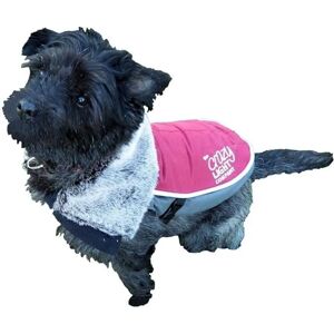 Veste LED de luxe pour chien Rosewood - 15" imperméable - Publicité Veste LED de luxe pour chien Rosewood - 15" imperméable - Publicité