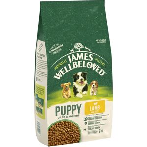 James Wellbeloved Jwb Puppy Dog Lamb & Rice Kibble - Dog Food James Wellbeloved Jwb Puppy Dog Lamb & Rice Kibble - Dog Food