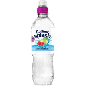 Radnor Hills Splash Still Water Apple Raspberry - Bottled Water Radnor Hills Splash Still Water Apple Raspberry - Bottled Water