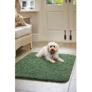Rug Guru Buddy - Green Washable & Stain Resistant Rug - 60x100cm Rug Guru Buddy - Green Washable & Stain Resistant Rug - 60x100cm