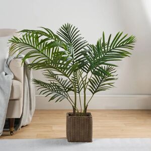 Ohs - Palm Leaf Tree In Basket - Green - Basket - Plant Ohs - Palm Leaf Tree In Basket - Green - Basket - Plant