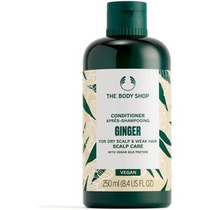 The Body Shop Ginger Scalp Care Conditioner - Dry & Weak Hair - 250ml The Body Shop Ginger Scalp Care Conditioner - Dry & Weak Hair - 250ml