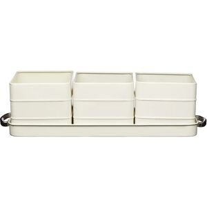 Living Nostalgia Antique Cream Herb Pots with Tray - Herb Pots Set Living Nostalgia Antique Cream Herb Pots with Tray - Herb Pots Set