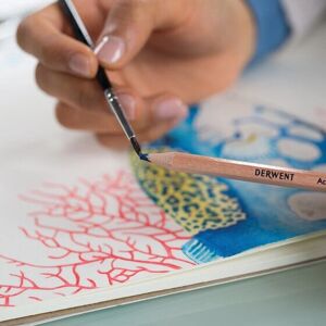 Derwent Multi Colour Watercolour Pencils - 24 pcs Derwent Multi Colour Watercolour Pencils - 24 pcs