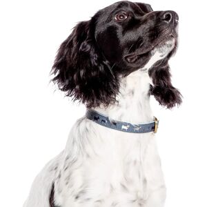 Danish Design FatFace Marching Dog Collar - Medium Danish Design FatFace Marching Dog Collar - Medium