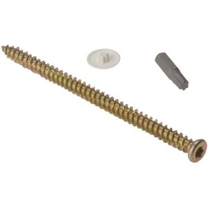 Forgefix 10CFS62 Concrete Frame Screw - Torx Compatible Forgefix 10CFS62 Concrete Frame Screw - Torx Compatible