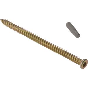 ForgeFix ForgeFix MAMCFS122 Vite per telaio in cemento - 7.5 x 122mm, Confezione 100 ForgeFix ForgeFix MAMCFS122 Vite per telaio in cemento - 7.5 x 122mm, Confezione 100